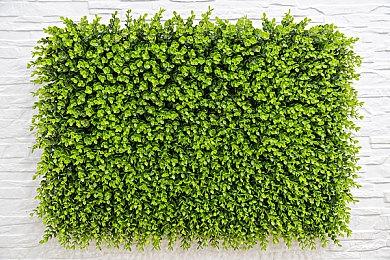 《DOTA2》Team Aster和Team Falcons战队阵容官宣